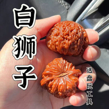 【形良い】文玩核桃 白狮子 40mm 核桃文玩白狮子40价格报价行情- 京东