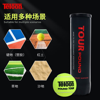 天龙(Teloon)网球比赛训练习用球高弹耐磨P4 TOUR pound 天龙(Teloon)网球比赛训练习用球高弹耐磨P4 TOUR pound