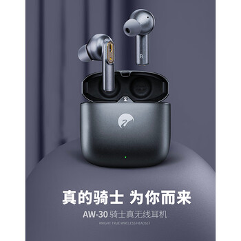 惠威(HiVi) AW-30 真无线耳机 高清通话入耳式耳机长续航蓝牙降噪耳机低延时游戏耳机 惠威(HiVi) AW-30 真无线耳机 高清通话入耳式耳机长续航蓝牙降噪耳机低延时游戏耳机