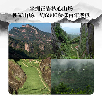 武夷瑞芳乌龙茶精品口粮武夷岩茶水仙一级250g礼盒装茶叶送礼节礼物