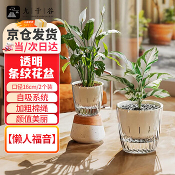 花七休竹柏自吸水玻璃花盆品牌及商品- 京东