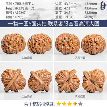 磨盘狮子头精品品牌及商品- 京东