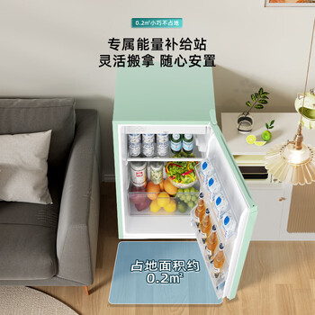 海信（Hisense）95升小型冰柜家用立式冰柜冷藏柜办公室冰吧厅吧 一级能效出租房酒店小型冰箱 复古罗马绿 BC-95BQ