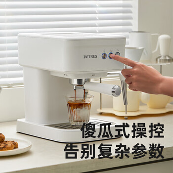 柏翠（petrus）意式半自动咖啡机 智能自动萃取 智能控温  蒸汽打奶泡 小型办公室家用 PE2170 海盐白