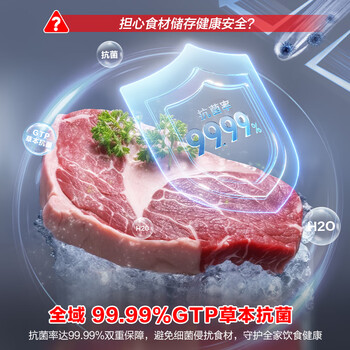 容声（Ronshen）145L单温家用冰柜冰箱冷藏冷冻转换减霜全空间净化抗菌可囤200斤肉冷柜BD/BC-145ZMSMB