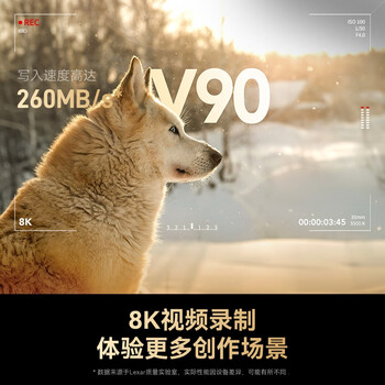 雷克沙（Lexar）128GB SD存储卡 U3 V90 8K视频摄像相机内存卡 读300MB/s 写260MB/s 高速读取录制（2000x）