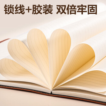 得力（deli）（HWM）商务经典皮面日记本/会议记事本/笔记本16K80张（10本/套）棕色 7900