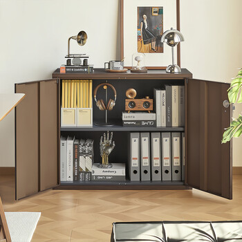 洛克菲勒钢制办公文件柜铁皮柜子资料柜带锁矮柜全深胡桃760铁开门