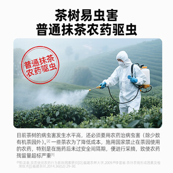 丙田 有机纯抹茶粉60g 无加糖抹茶烘焙冲泡饮非绿茶粉 饮料液便携条装
