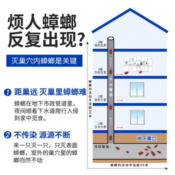 绿叶蟑螂药杀蟑胶饵方便贴杀虫剂灭蟑螂16枚装-07111ZZ 绿叶蟑螂药杀蟑胶饵方便贴杀虫剂灭蟑螂16枚装-07111ZZ