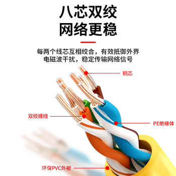 巴也 BMW ENET Cable 宝马网线OBD2接口 Connector Network水晶头接口 镀金插头+5米网线 BY-SYC05