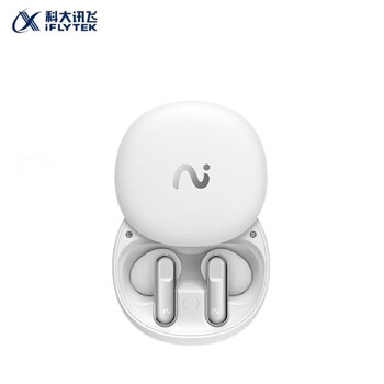 科大讯飞录音降噪会议耳机iFLYBUDS 2冷霜白 半入耳新品 主动降噪 同传听译 AI会议助理苹果华为通用