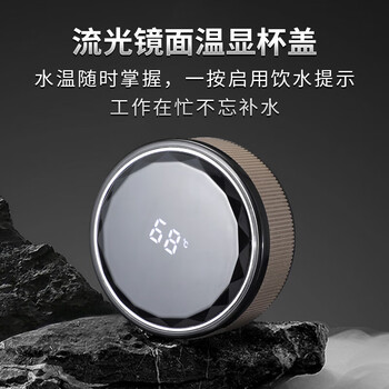 TDE纯钛保温杯智能温显双层焖泡茶水杯独立茶仓480ml定制礼物