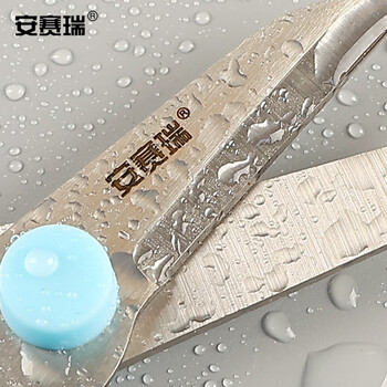 安赛瑞 不锈钢鲜花修剪刀 家用绿植盆栽修枝园艺工具 蓝色 5J00478 JC