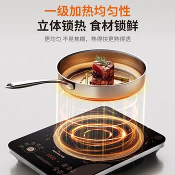 九阳（Joyoung）大火力电磁炉爆炒多功能10档家用2200W大功率商超同款C22S-N9L