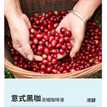 瑞幸咖啡（luckincoffee）浓缩液0糖0脂浓醇速溶咖啡液生椰风味咖啡液15ml*15袋
