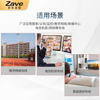 ZAVE RJ45网络插座接口 5224 立式 180度 全塑（2只）