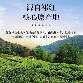 一杯香茶叶安徽正宗祁门红茶400g新茶礼盒装送礼自己喝自饮古树祁红毛峰