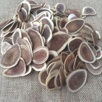 中药材鹿角片500克