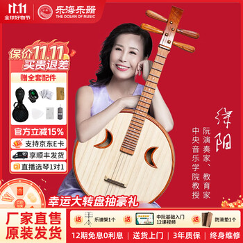 乐海中阮价格报价行情- 京东