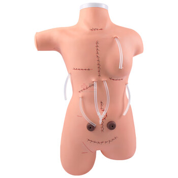 勤良高级外科缝合包扎练习模拟人模型高位低位包扎模型外科缝合包扎止血训练展示术前无菌术操作训练模型QL/LF5