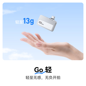 雷克沙（Lexar）2TB Type-c USB3.2 移动固态硬盘（PSSD) Professional GO 传输速度1050MB/s 直插手机  银色
