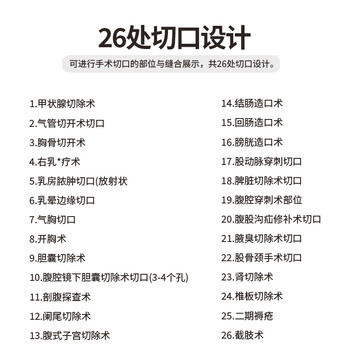 勤良高级外科缝合包扎练习模拟人模型高位低位包扎模型外科缝合包扎止血训练展示术前无菌术操作训练模型QL/LF5