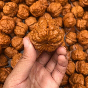 蛤蟆头核桃价格报价行情- 京东