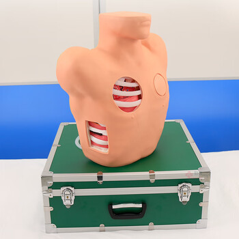 勤良胸腔穿刺引流训练模型模拟人闭式穿刺引流术教学训练模型人体穿刺训练模型气胸穿刺减压模型QL/L66