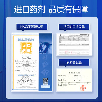 拜灭士热门商品拜耳蚂蚁药室内一窝端灭杀蚂蚁胶饵进口家用杀虫剂5g 拜灭士热门商品拜耳蚂蚁药室内一窝端灭杀蚂蚁胶饵进口家用杀虫剂5g