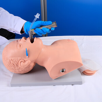 勤良成人电子气管插管训练模型（牙齿受压警报）口鼻咽喉插管置管操作练习模拟人气道阻塞通气插管模型QL/J5S