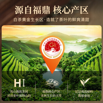 千金号福鼎白茶白毫银针福建北路银针110g高端送礼茶叶礼盒送人长辈领导