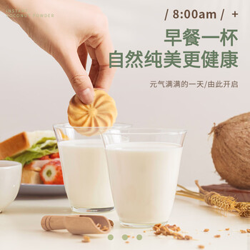 南国 醇香椰子粉450g/罐 海南特产代餐粉椰汁粉 营养早餐椰奶粉