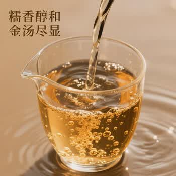 盛安长泾阳茯茶传承1368黑茶金花茯砖茶叶陕西特产  2021年糯香味200g