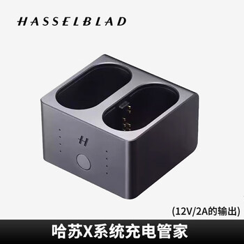 哈苏电池/充电器- 京东