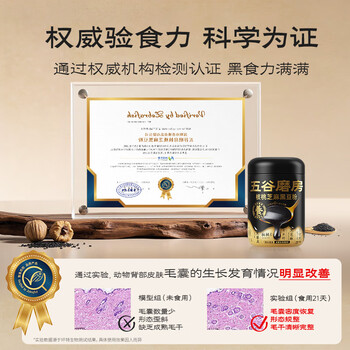 五谷磨房低GI黑芝麻糊米糊核桃芝麻黑豆粉速食早餐粉546g*2罐