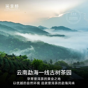 班章醇茶叶普洱茶熟茶十年以上云南勐海古树茶陈年熟普洱散茶口粮茶1kg