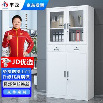丰龙文件柜办公柜钢制铁皮柜办公室资料柜凭证柜储物柜180*85*39cm