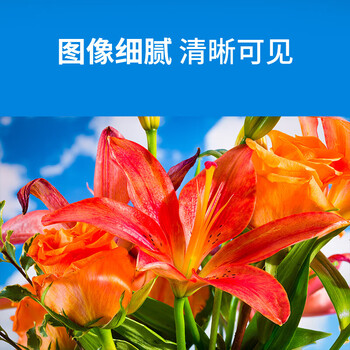 东芝(TOSHIBA)T-FC727CK(四色套装)eS6527AC/7527AC原装高容量墨粉四色一套约印39200页 东芝(TOSHIBA)T-FC727CK(四色套装)eS6527AC/7527AC原装高容量墨粉四色一套约印39200页