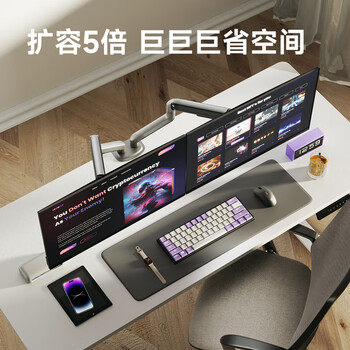 Brateck北弧 双屏显示器支架 机械臂一拖二 电脑支架多屏扩展桌面夹式底座 屏幕升降悬空托增高架E350-2灰