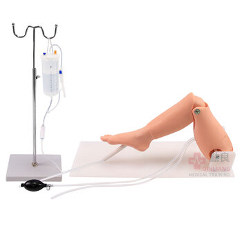 勤良胫骨穿刺训练模型 成人骨髓腔穿刺训练股静脉 穿刺输液训练模块 骨髓穿刺训练模块QL/L65A