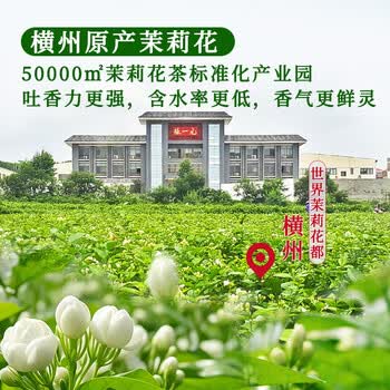 张一元茉莉花茶叶龙毫明前茶新春茶伴手礼物口粮茶浓香型特种200g礼盒装 张一元茉莉花茶叶龙毫明前茶新春茶伴手礼物口粮茶浓香型特种200g礼盒装