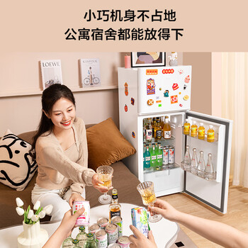 TCL 116升二级能效双开门两门二门养鲜冰箱小户型小型家用节能电冰箱租房118升级款R116L5-B