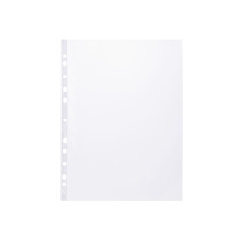齐心(COMIX)11孔资料册 防反光文件保护袋文件替芯袋 20个装 白色 办公用品EH303A/EA9020 齐心(COMIX)11孔资料册 防反光文件保护袋文件替芯袋 20个装 白色 办公用品EH303A/EA9020