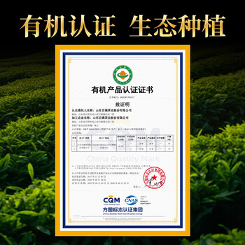 日照绿茶2025新茶有机绿茶清香型豆香特级120g天时茶叶礼盒山东特产礼品