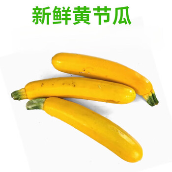 茄瓜图片- 京东