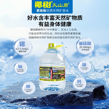 椰树火山岩饮用天然矿泉水 5L*2桶 整箱装 饮用水 正宗海南特产 椰树火山岩饮用天然矿泉水 5L*2桶 整箱装 饮用水 正宗海南特产