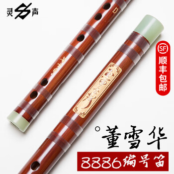 董雪华笛子乐器价格报价行情- 京东
