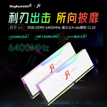 金百达（KINGBANK）32GB(16GBX2)套装 DDR5 6400 台式机内存条海力士A-die颗粒 白刃RGB灯条 C32 Deepseek硬件