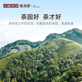 小罐茶园彩标系列广西横县伏天茉莉花茶95g罐装茶叶伴手礼 小罐茶出品